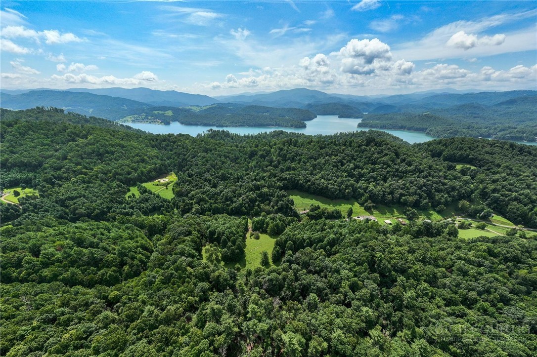 Tbd Sink Valley Road Property Photo 29