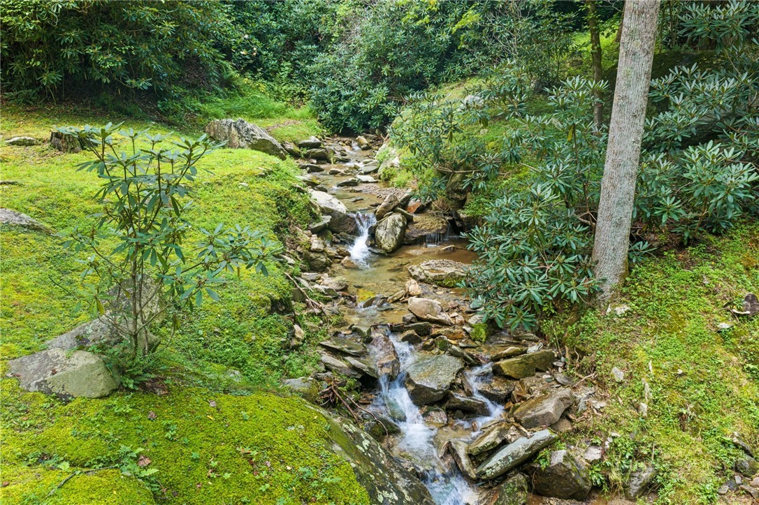 9335 Blackberry Road Property Photo 41
