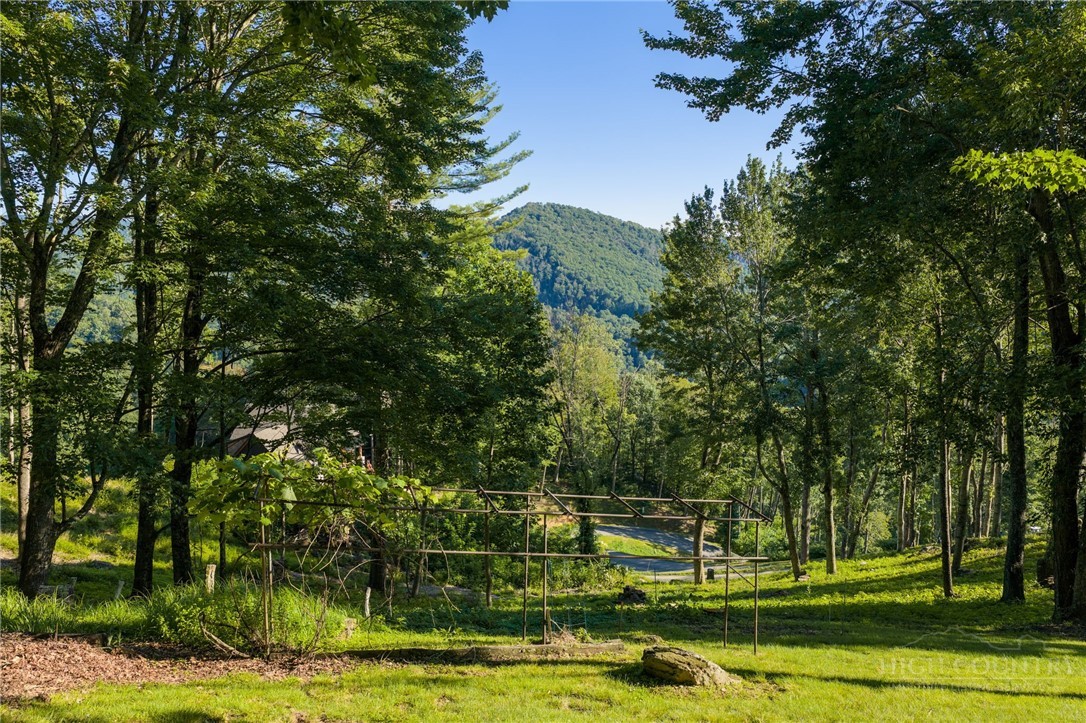 106 Thunderbolt Drive Property Photo 15