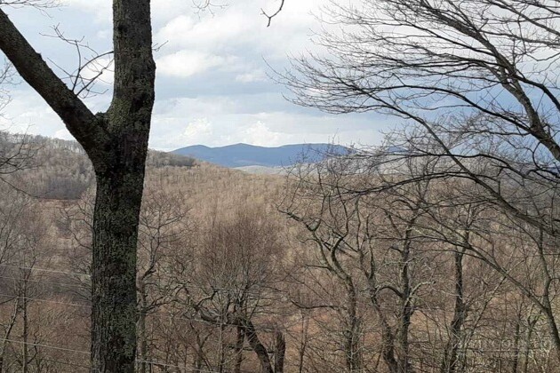 2587 Junaluska Road Property Photo 36