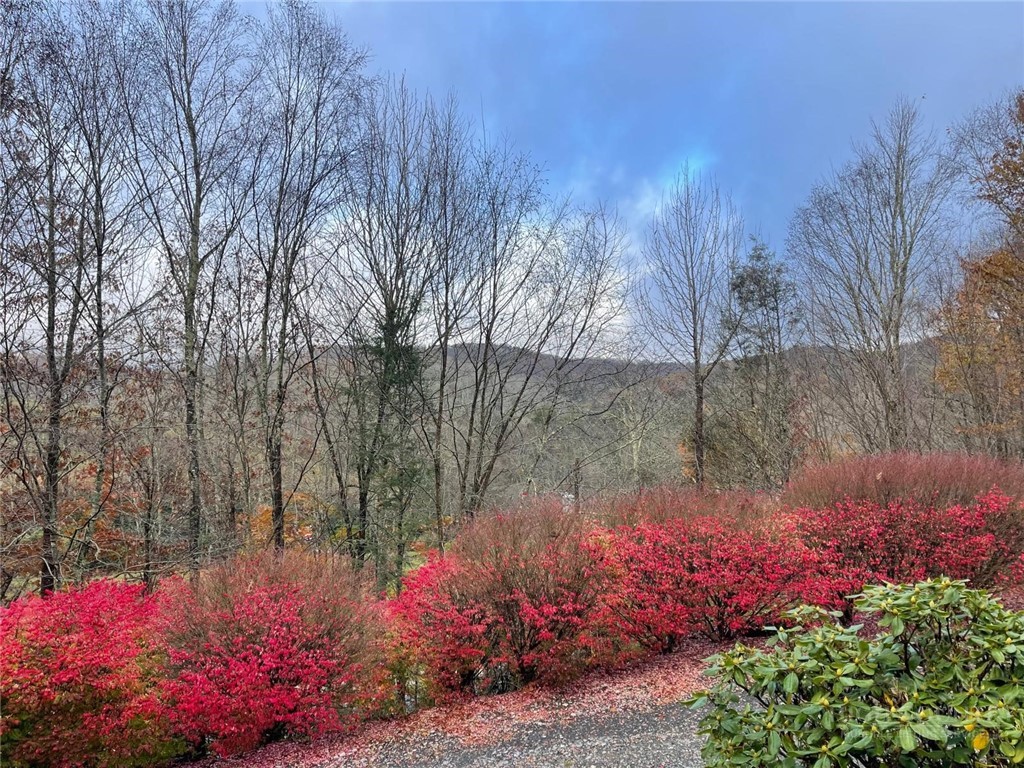 2266 Sugar Mountain First Road Property Photo 3