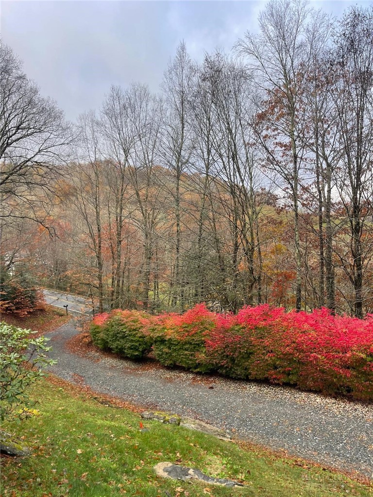 2266 Sugar Mountain First Road Property Photo 4