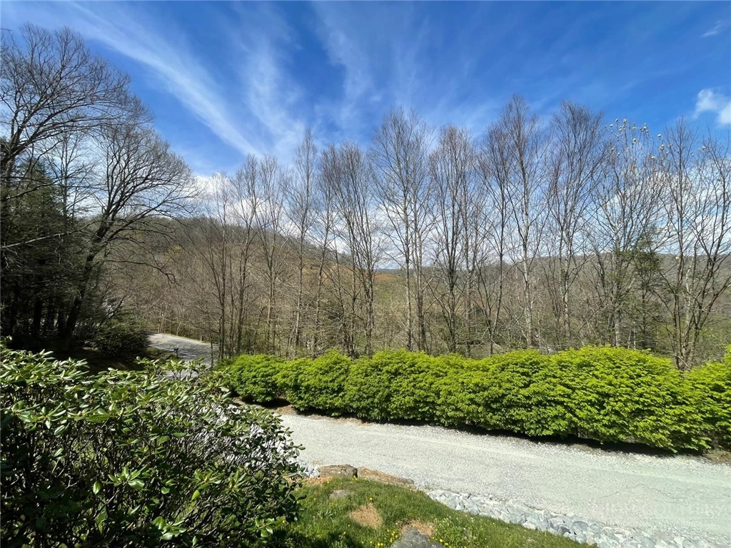 2266 Sugar Mountain First Road Property Photo 30