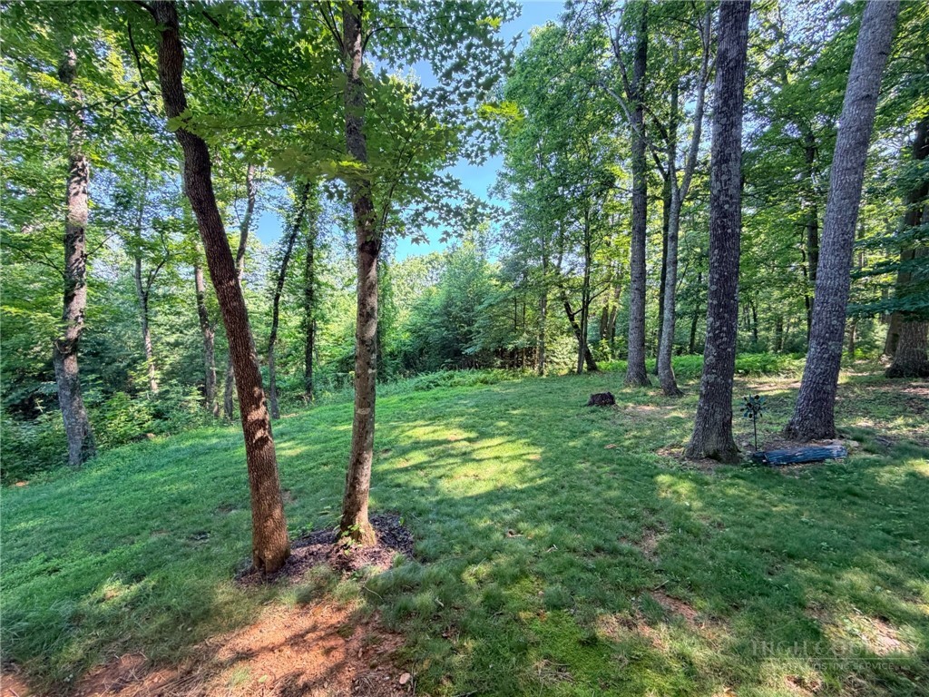 74 Forest Lane Property Photo 18