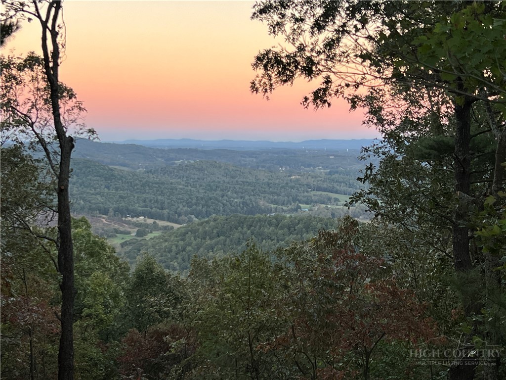 345 Chalk Dust Trail Property Photo 5