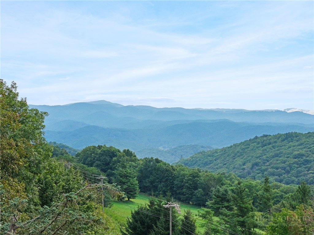 173 Skiview Road Property Photo 1