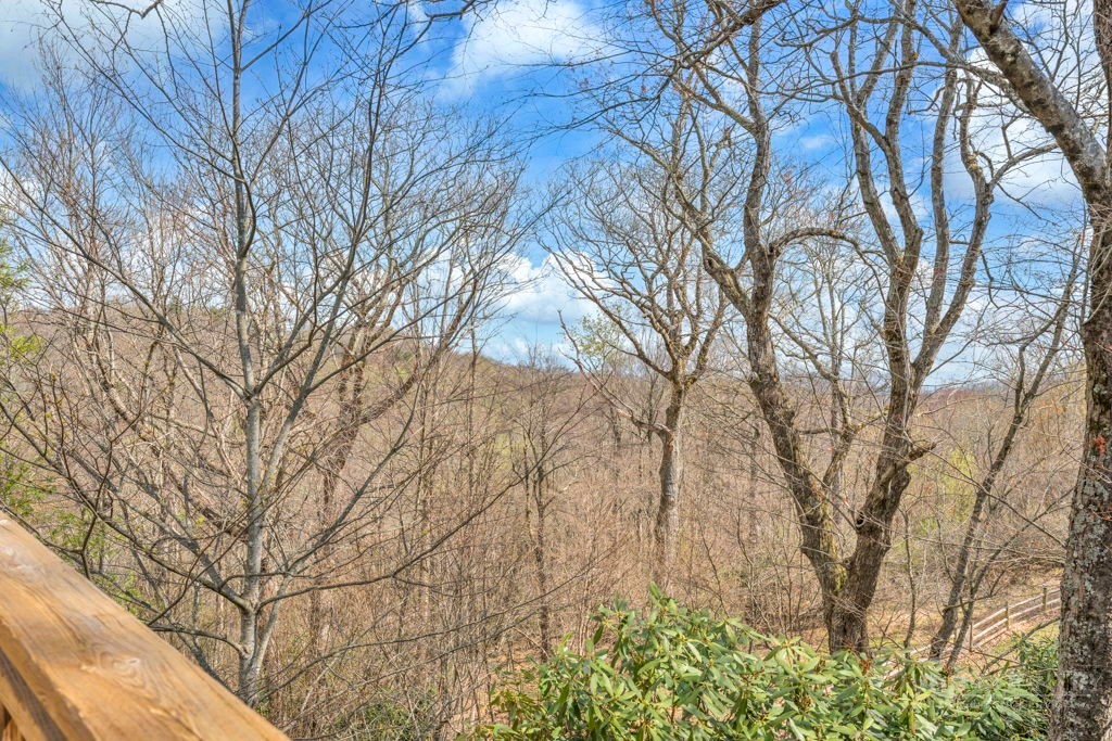 270 Grovers Knob Property Photo 14