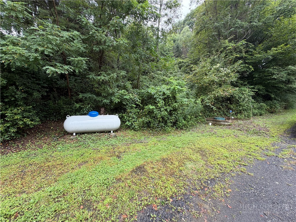 144 S Flatwoods Road Property Photo 33
