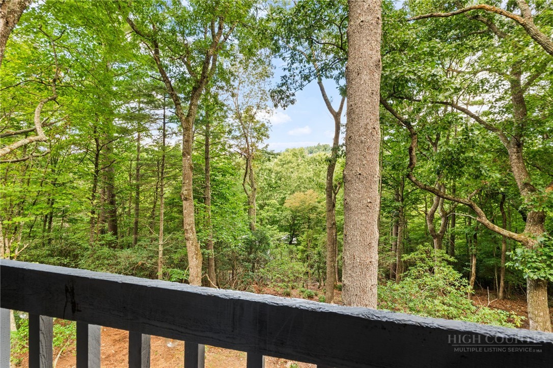 383 Bear Ridge Trail Property Photo 28