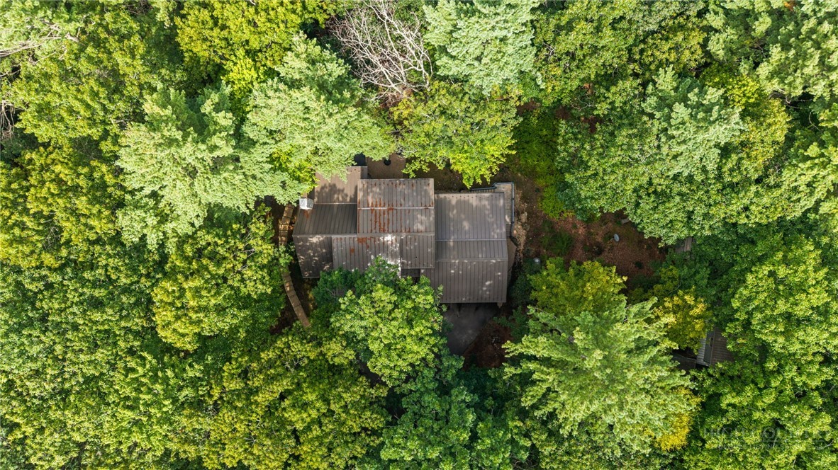 383 Bear Ridge Trail Property Photo 45