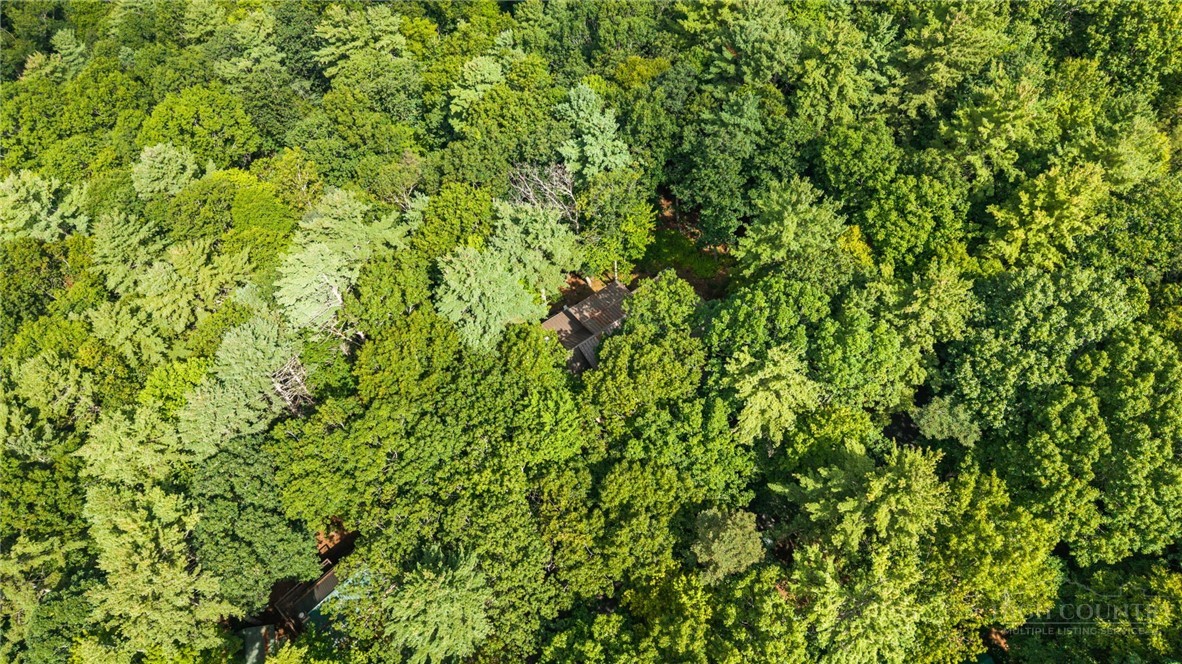 383 Bear Ridge Trail Property Photo 46