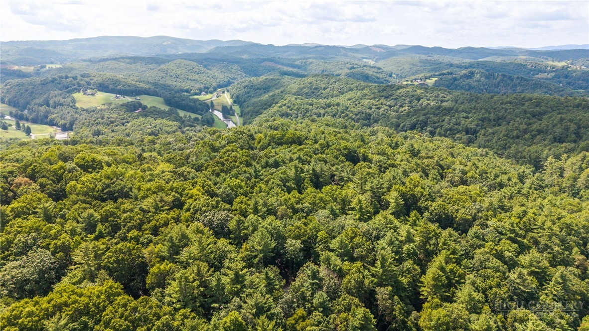 383 Bear Ridge Trail Property Photo 47