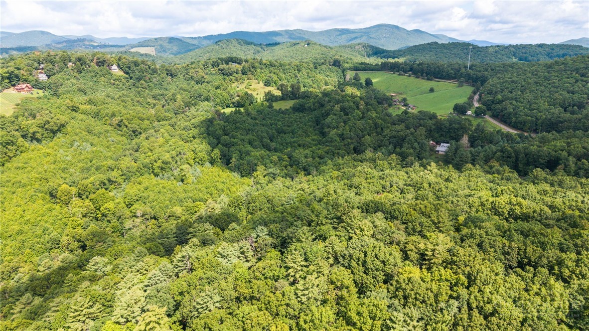 383 Bear Ridge Trail Property Photo 48