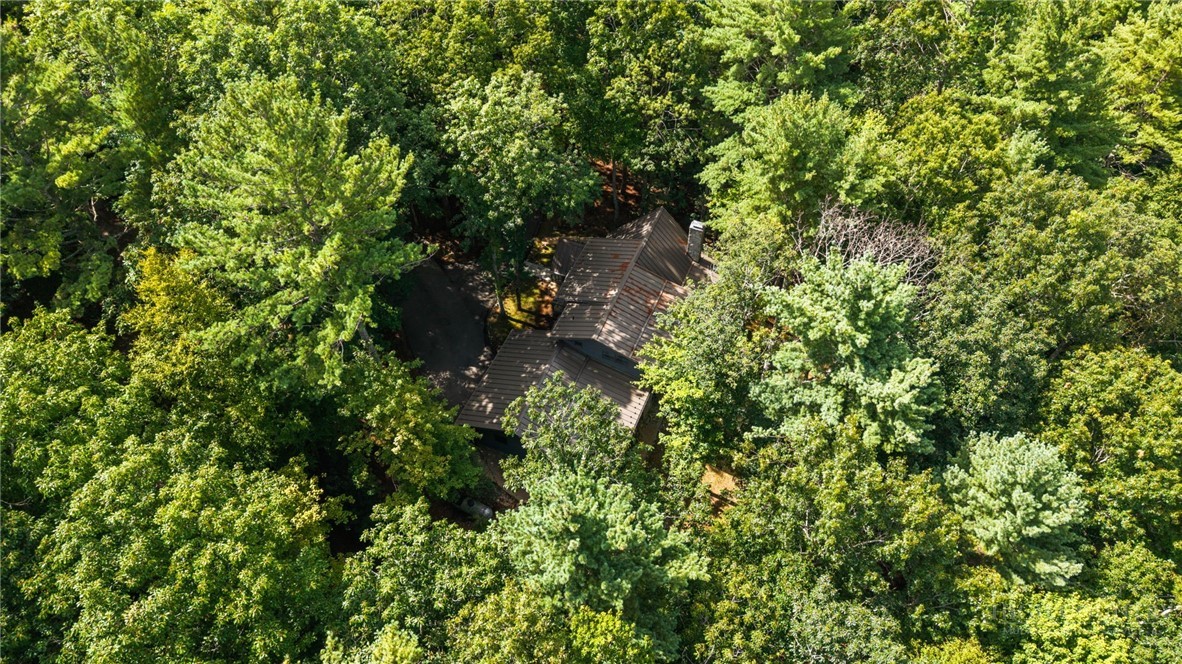 383 Bear Ridge Trail Property Photo 49