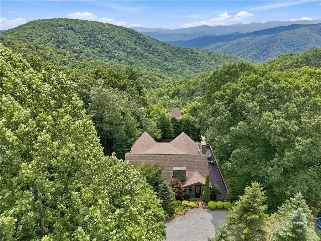 139 Scenic Vista Trail Property Photo 45
