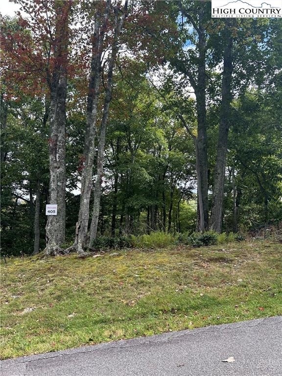 405 Firethorn Trail Property Photo 1