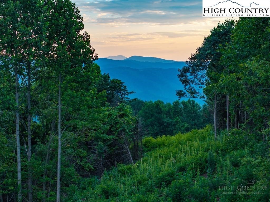 Lot 142 Angelfire Trail Property Photo 1