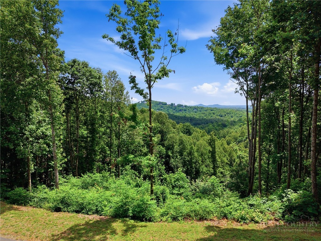 1288 Johns Ridge Parkway Property Photo 1