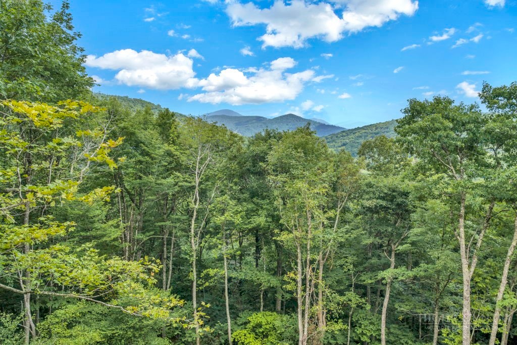 Tbd Saddle Road Property Photo 6