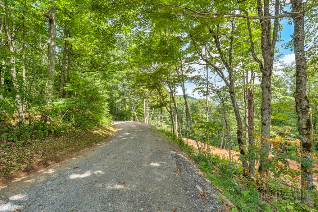 Tbd Saddle Road Property Photo 8