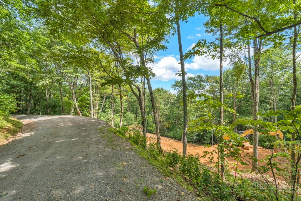 Tbd Saddle Road Property Photo 9
