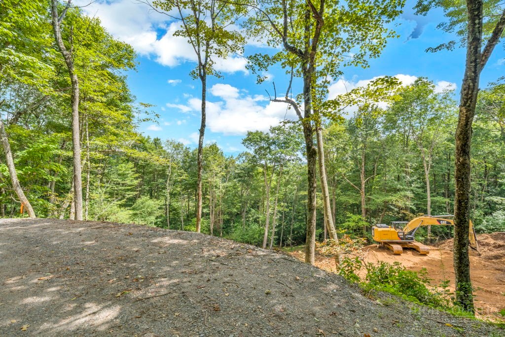 Tbd Saddle Road Property Photo 10
