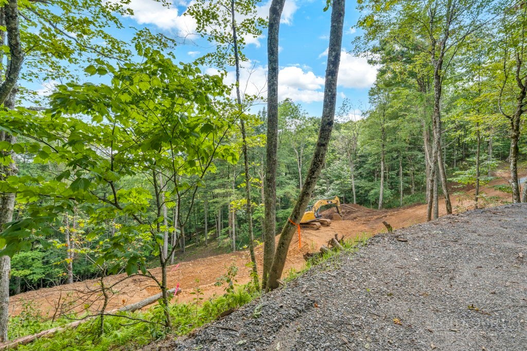 Tbd Saddle Road Property Photo 12
