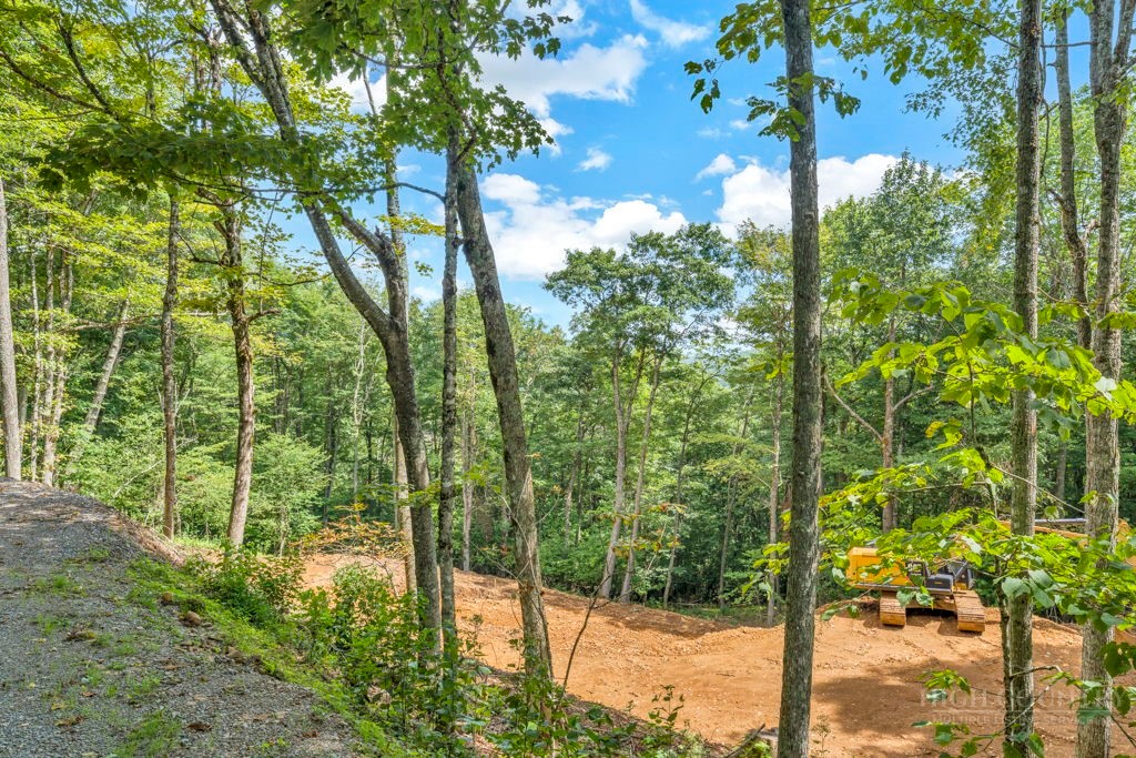 Tbd Saddle Road Property Photo 13