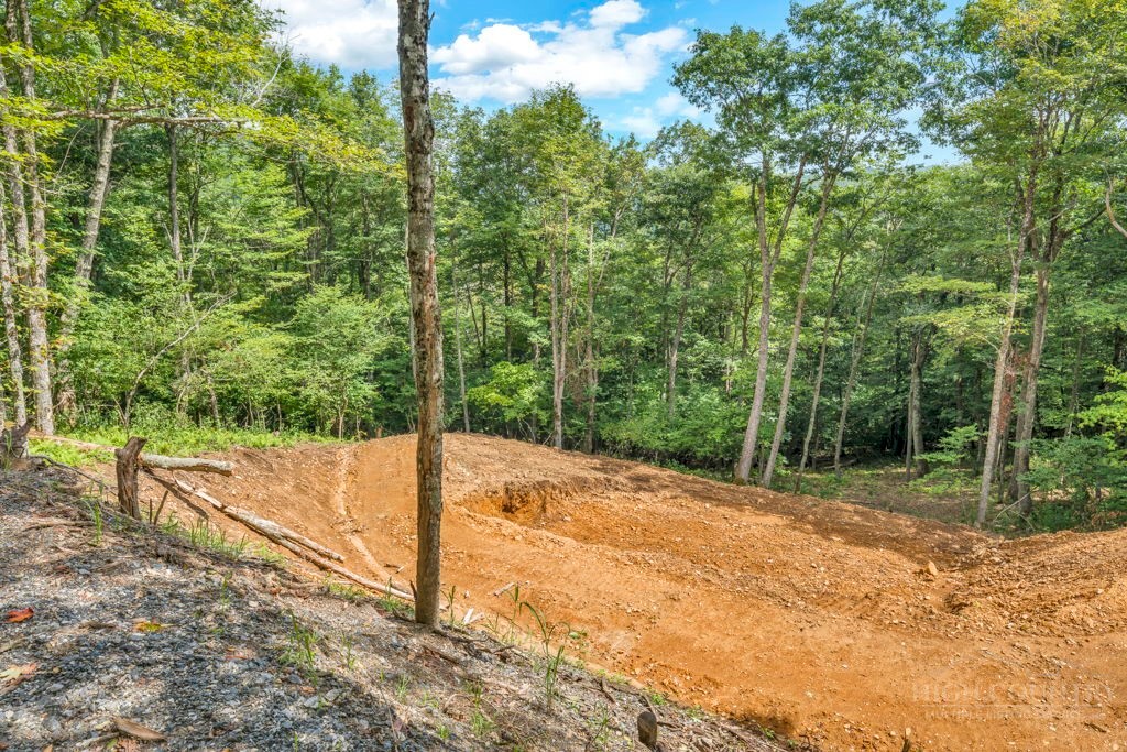 Tbd Saddle Road Property Photo 15