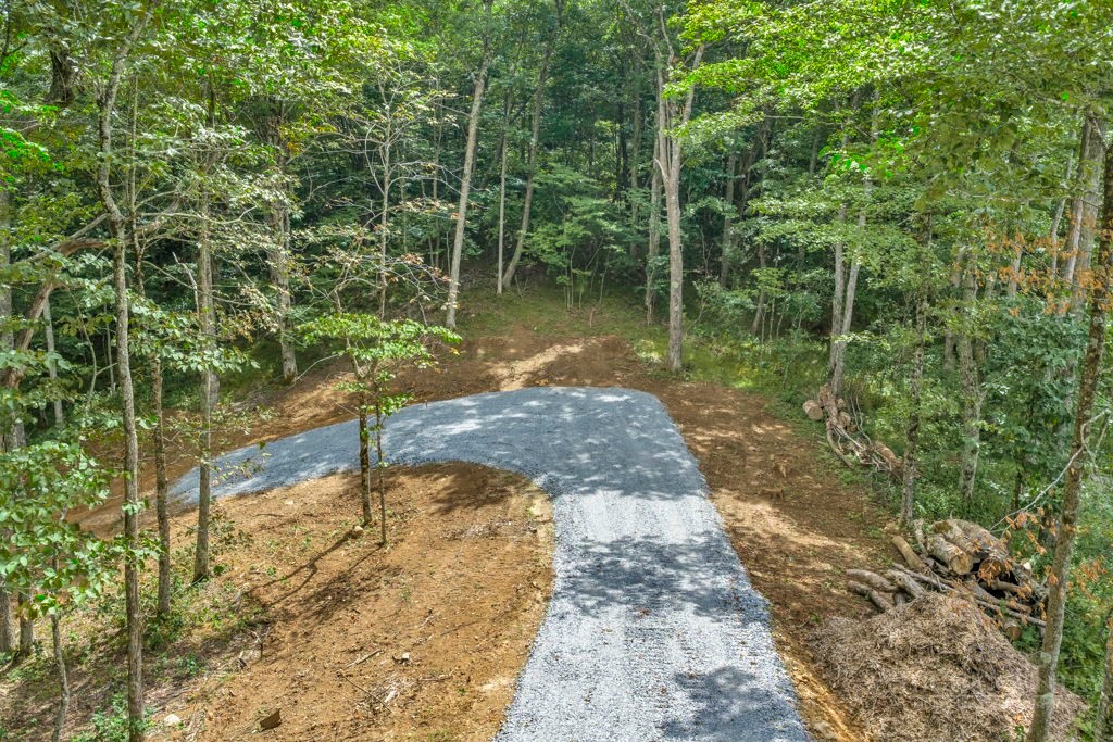 Tbd Saddle Road Property Photo 17