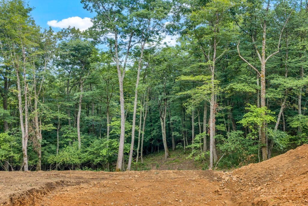 Tbd Saddle Road Property Photo 23