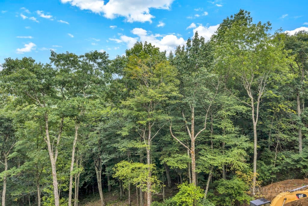 Tbd Saddle Road Property Photo 24