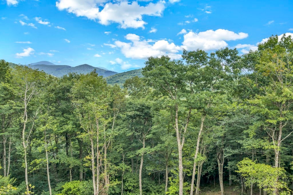 Tbd Saddle Road Property Photo 25