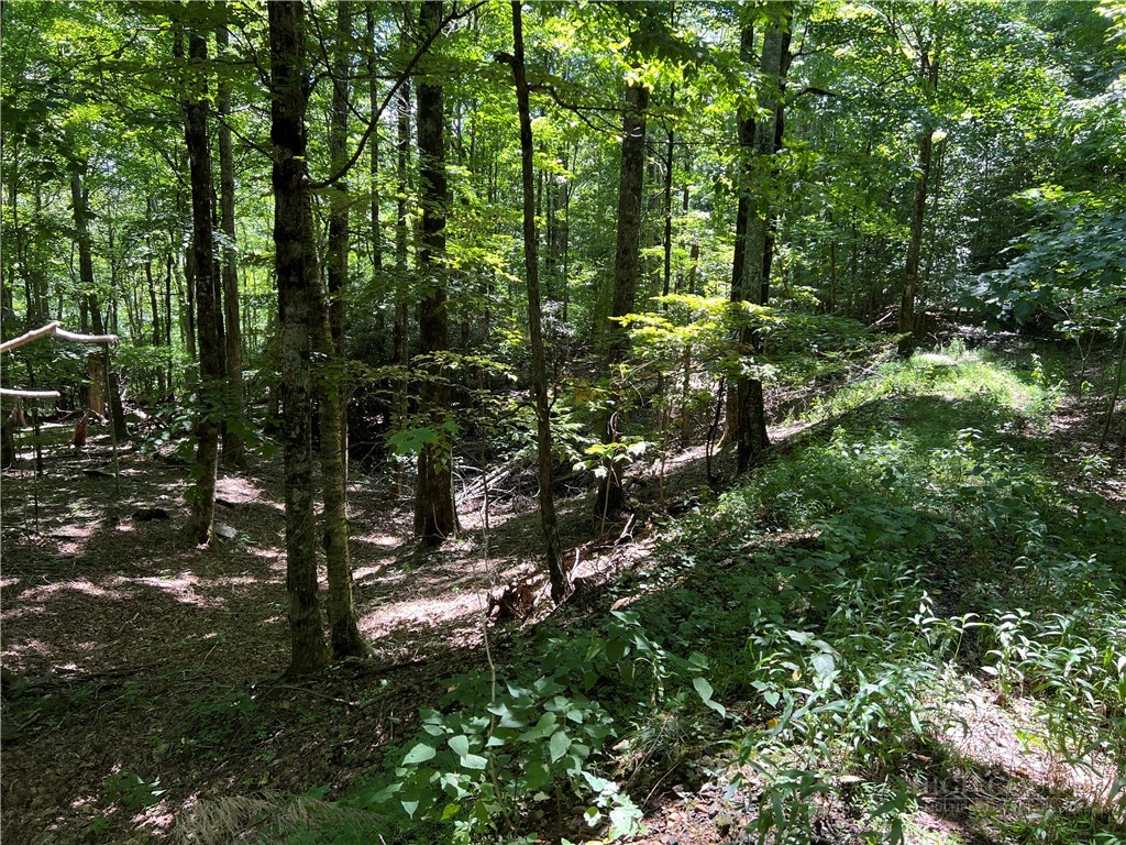 Tbd Maple Branch Road Property Photo 1