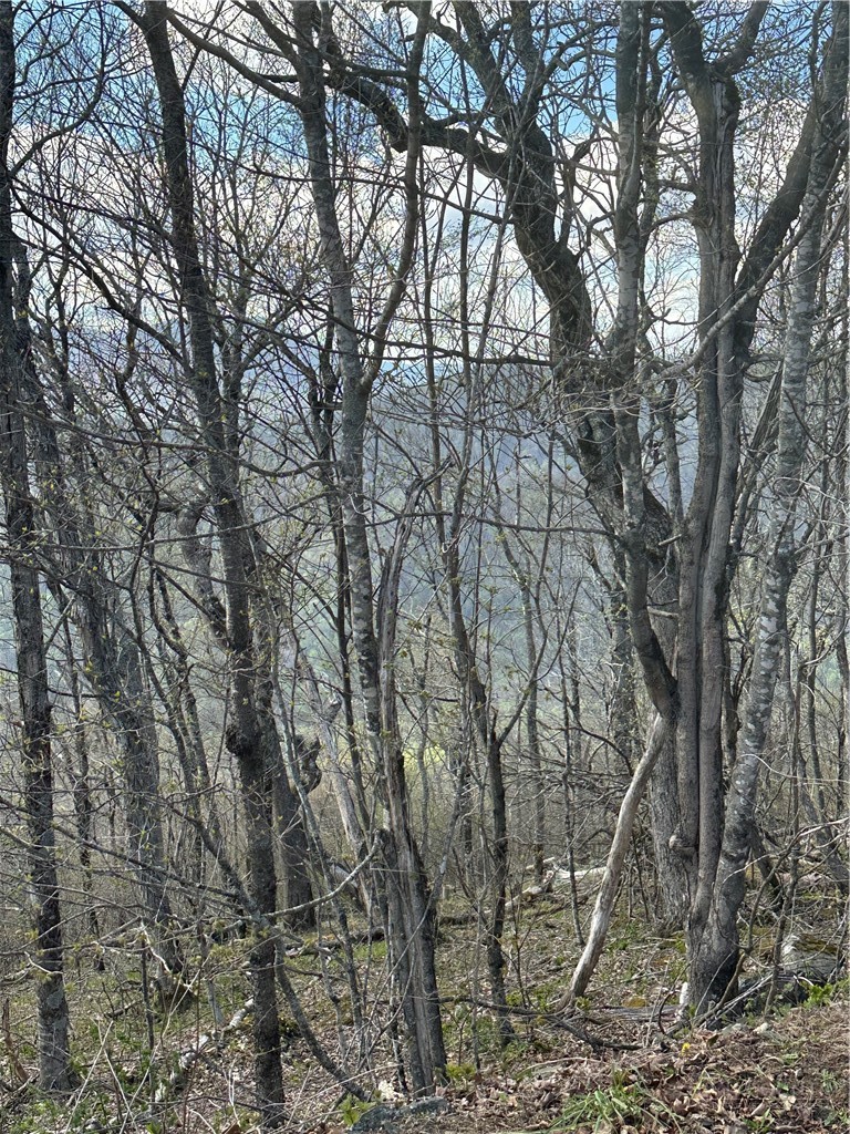 Lot 40 Silver Fox Drive Property Photo 2
