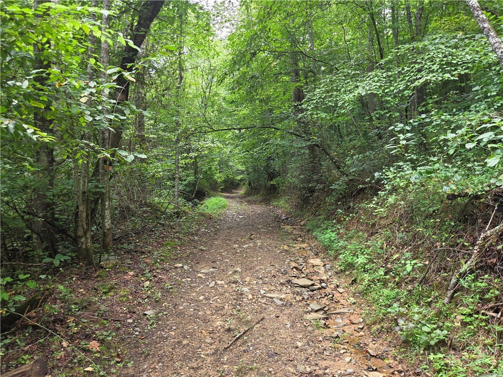 6059 Mount Zion Property Photo 4