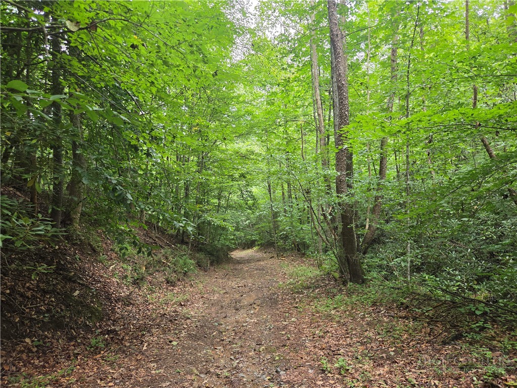 6059 Mount Zion Property Photo 6
