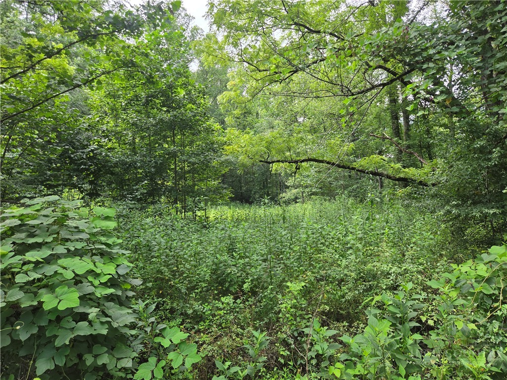 6059 Mount Zion Property Photo 20