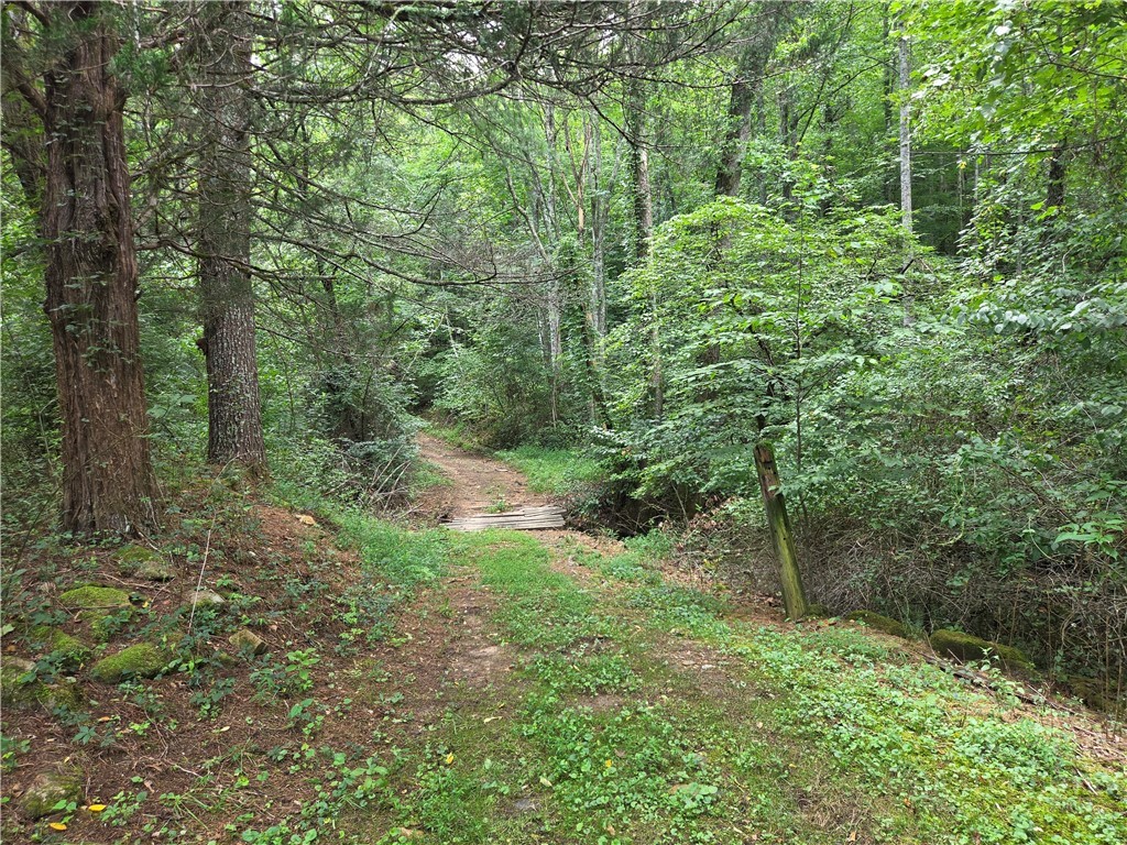 6059 Mount Zion Property Photo 25