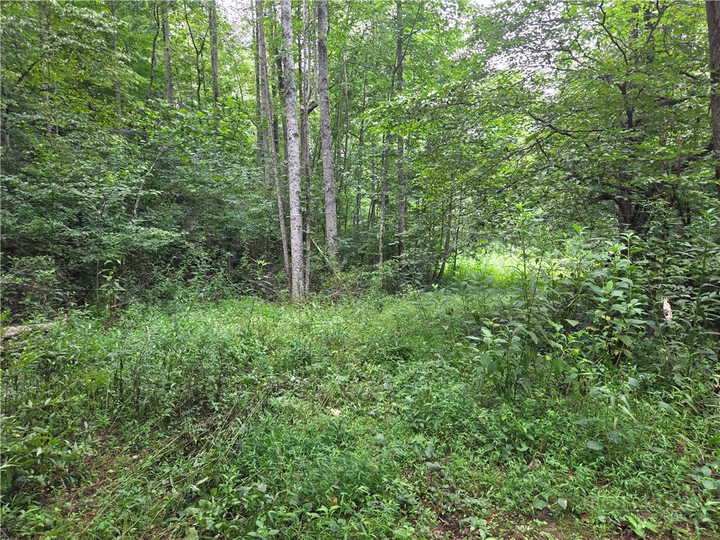 6059 Mount Zion Property Photo 26