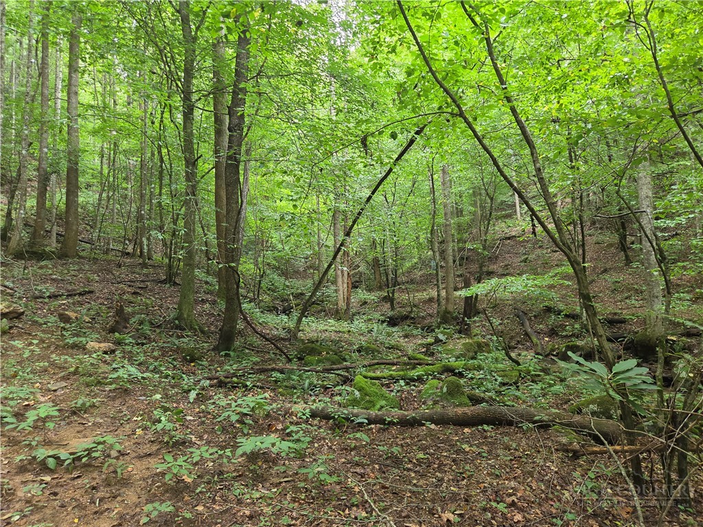 6059 Mount Zion Property Photo 30