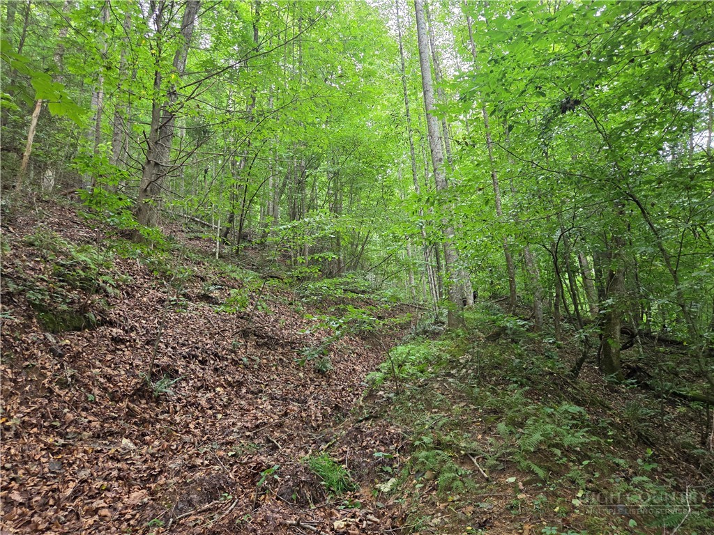 6059 Mount Zion Property Photo 31
