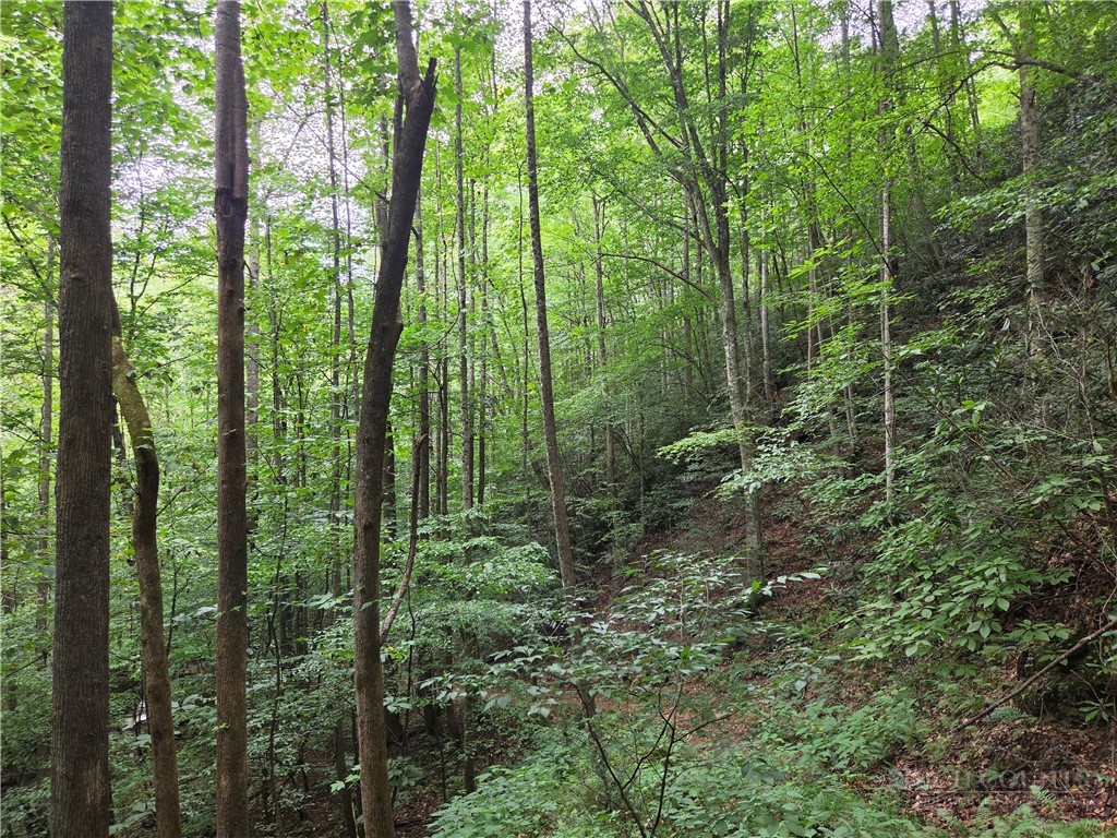 6059 Mount Zion Property Photo 32