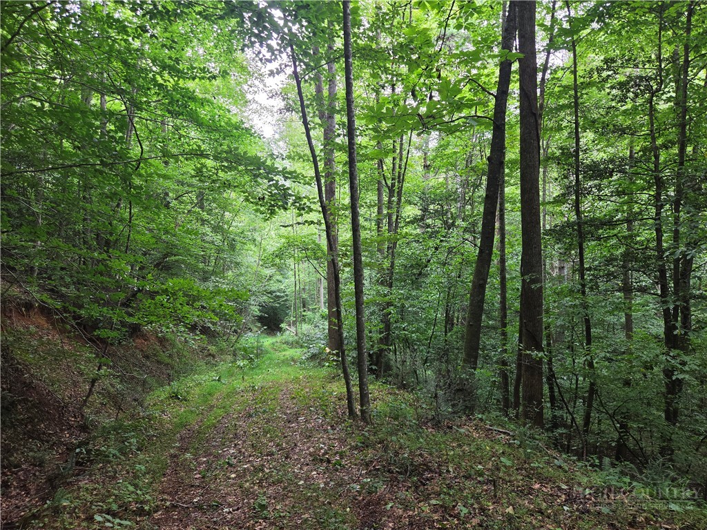 6059 Mount Zion Property Photo 33
