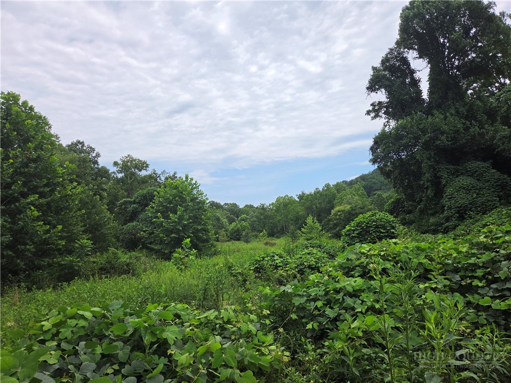 6059 Mount Zion Property Photo 34
