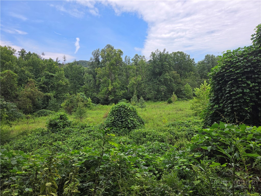 6059 Mount Zion Property Photo 36
