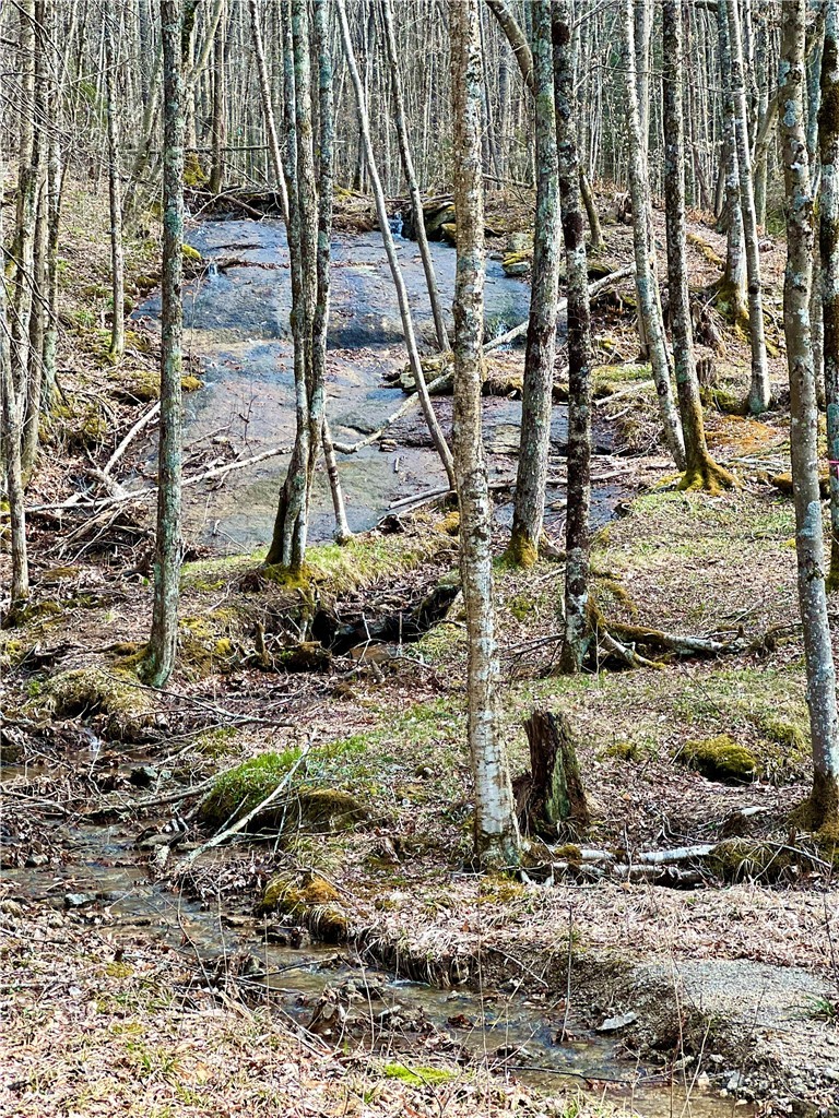 ES-61 Rippling Waters Trail Property Photo 1