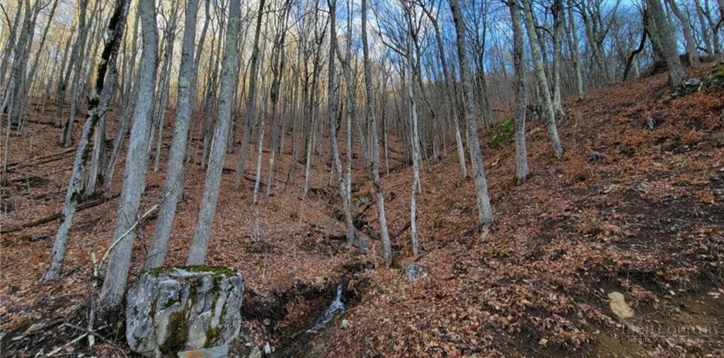 G56 Sky Camp Road Property Photo 3