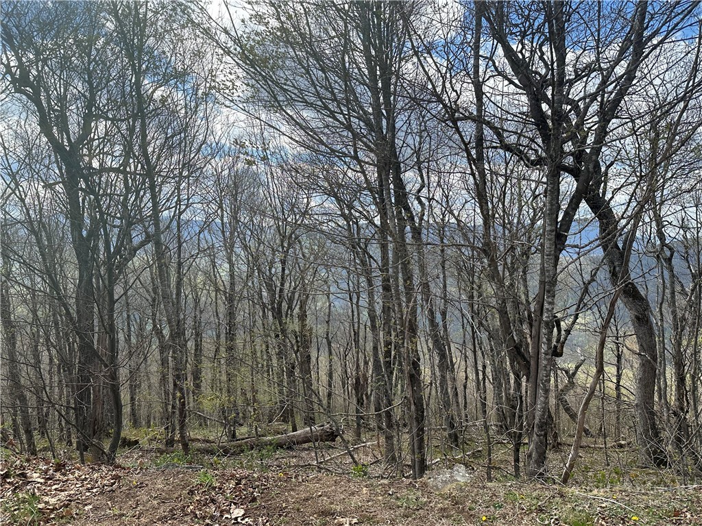 Lot 41 Silver Fox Drive Property Photo 1