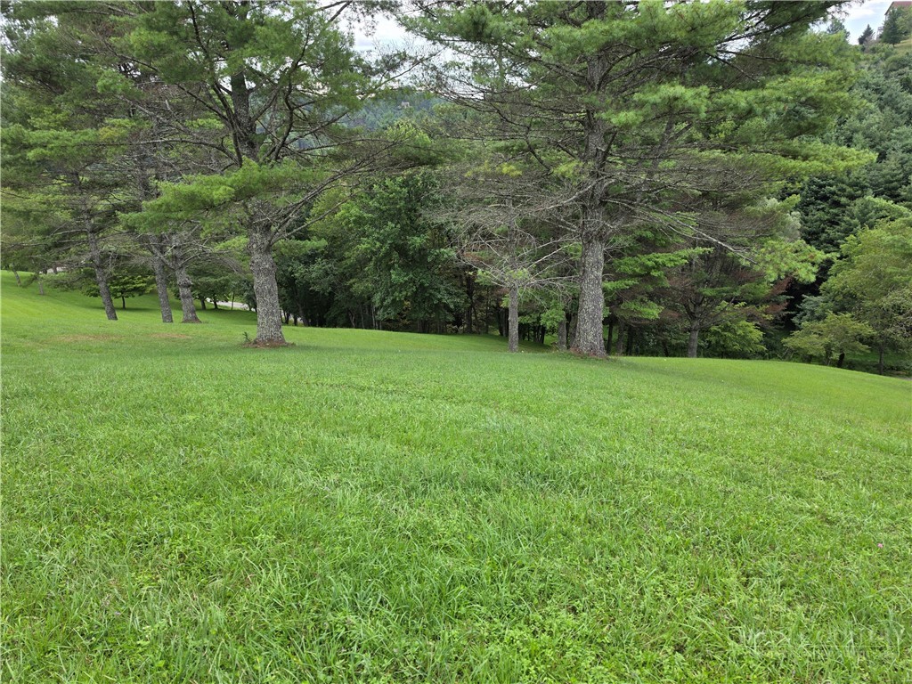 Lot 6 Annais Drive Property Photo 6